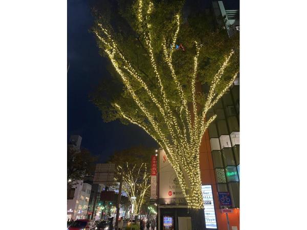 栄ミナミ・大須ウインターイルミネーション