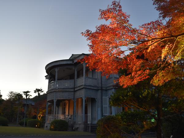 博物館明治村 紅葉ライトアップ