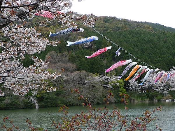 滝頭桜まつり