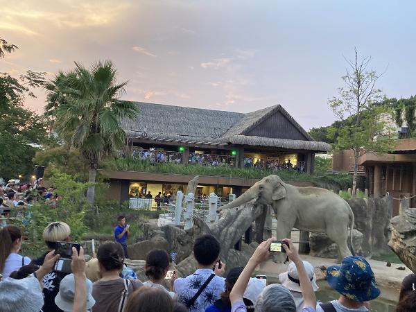 Night Zoo &amp; Garden