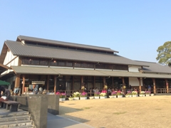 佐布里梅花节