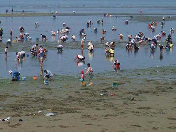 小中山地区海岸 潮干狩り