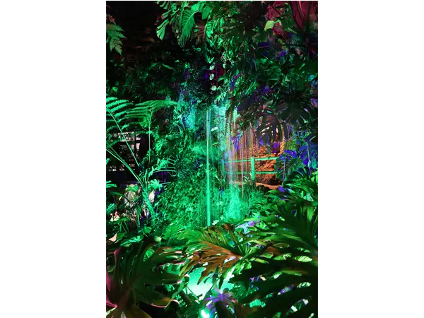 Non Hoi Park Night Zoo
