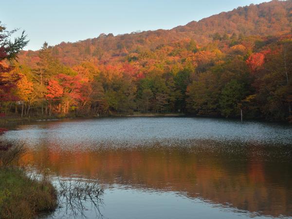 秋の茶臼山高原まつり