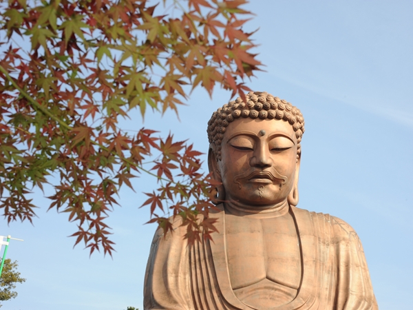 聚楽園公園　もみじまつり
