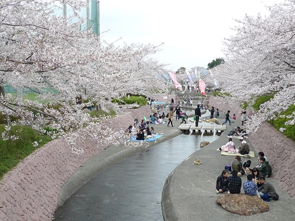滝頭桜まつり