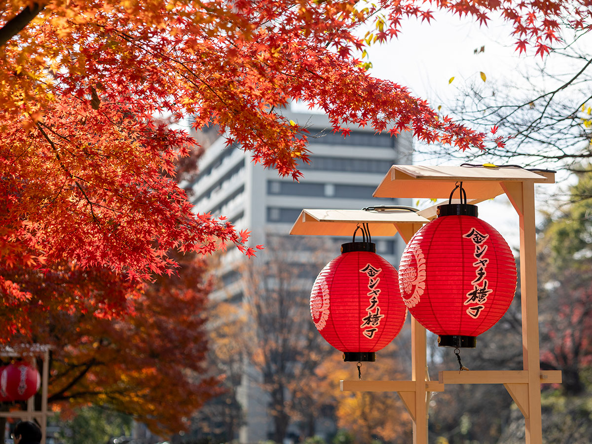 Kinshachi Yokocho