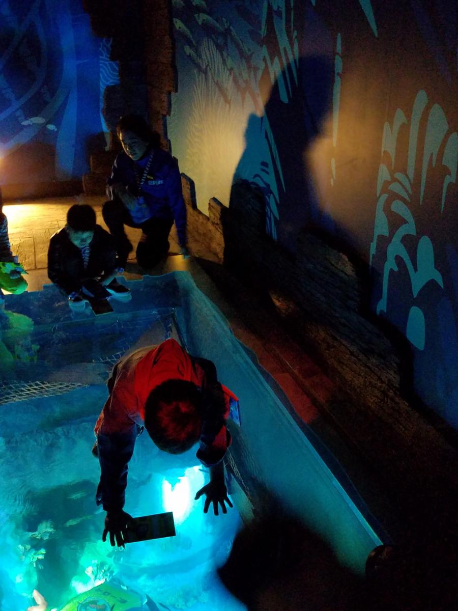SEA LIFE nagoya