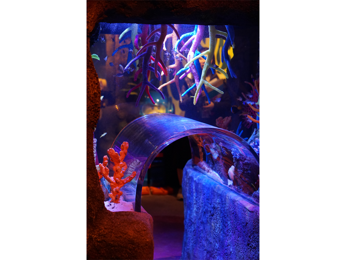 SEA LIFE nagoya