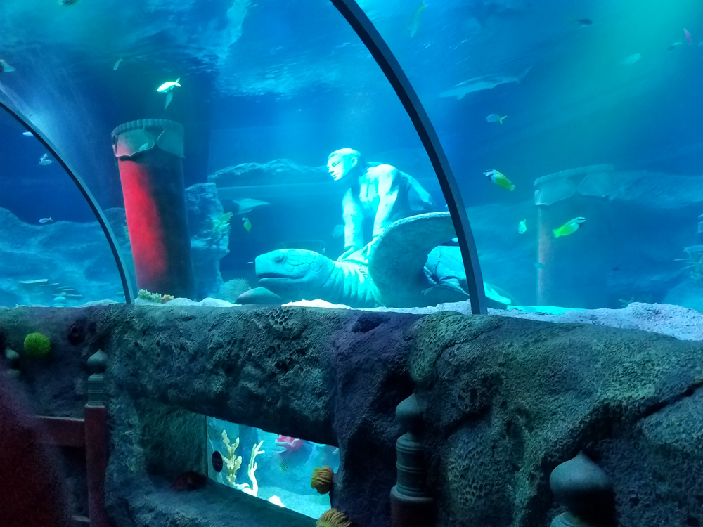 SEA LIFE nagoyaSEA LIFE nagoya