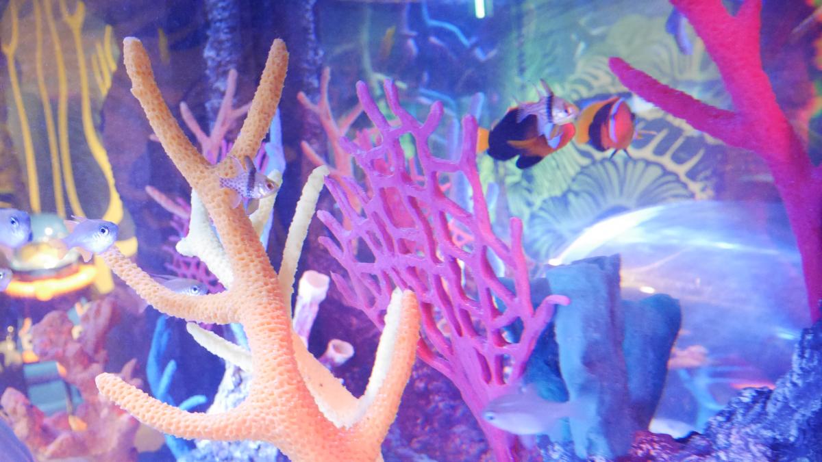 SEA LIFE nagoya