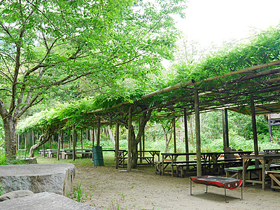 Otogawa River Fishing Weir (Otogawa Yana)