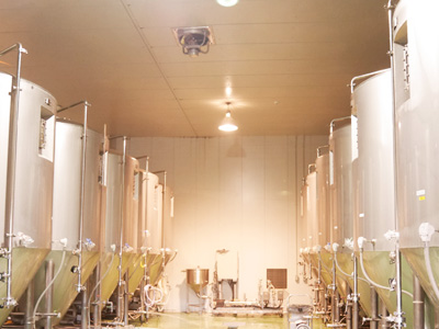 Morita Kinshachi Beer, the "Nagoya Meshi" gourmet companion
