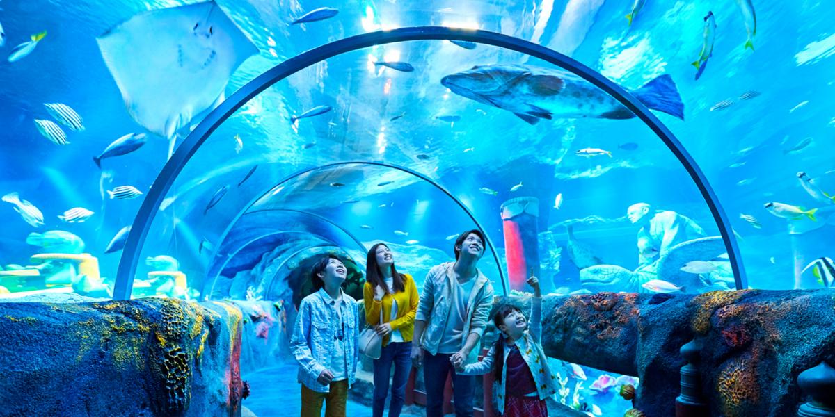 SEA LIFE nagoya