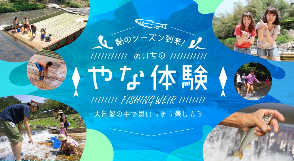 やな特集