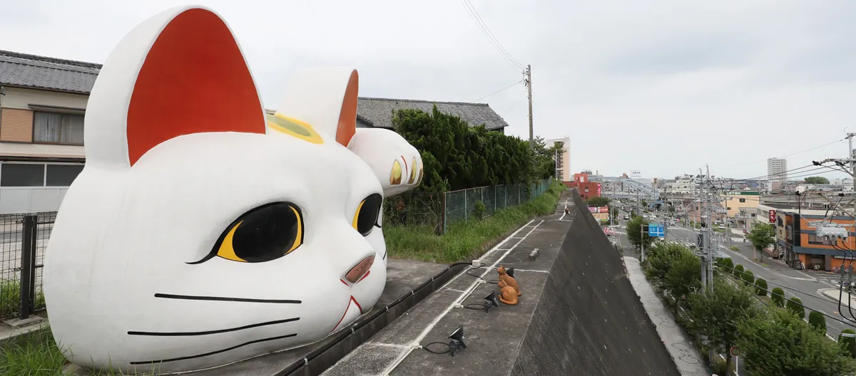 とこにゃん