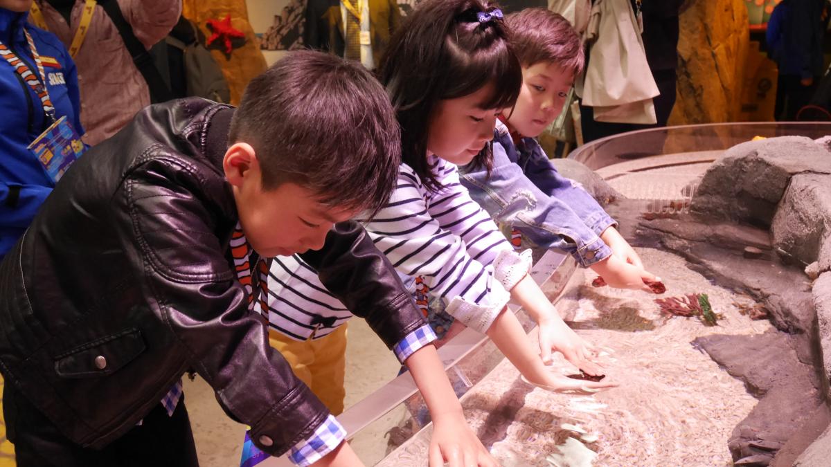 SEA LIFE nagoya