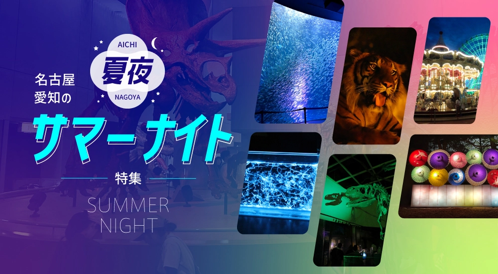 After-dark Experiences Special Feature