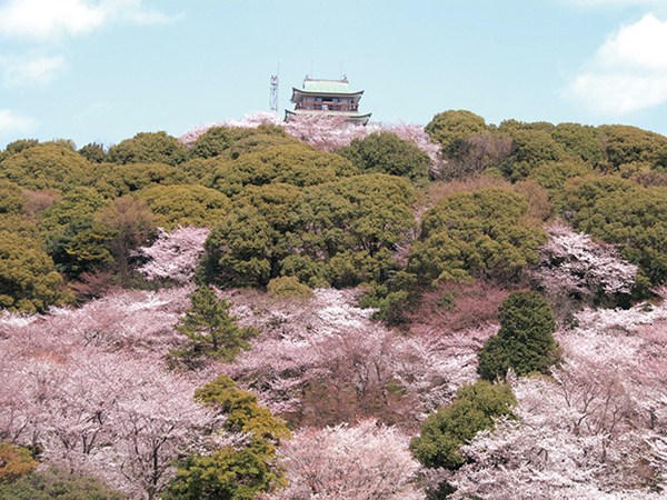 Komakiyama Castle