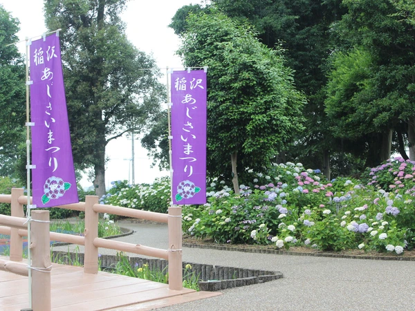 稲沢あじさいまつり