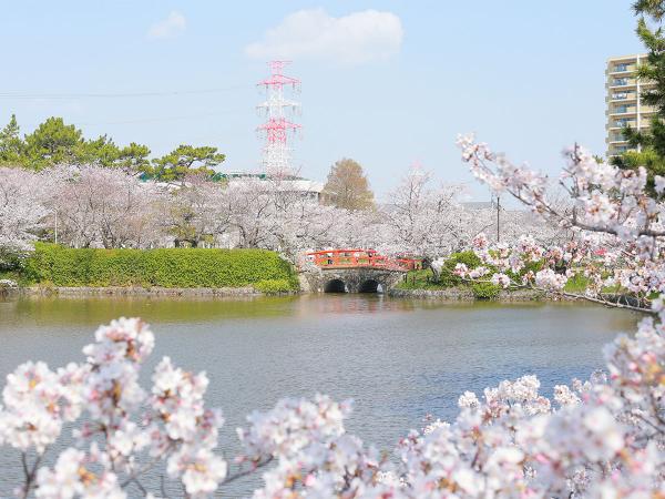 刈谷桜まつり【亀城公園】