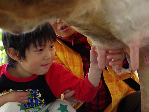 Aichi Farm
