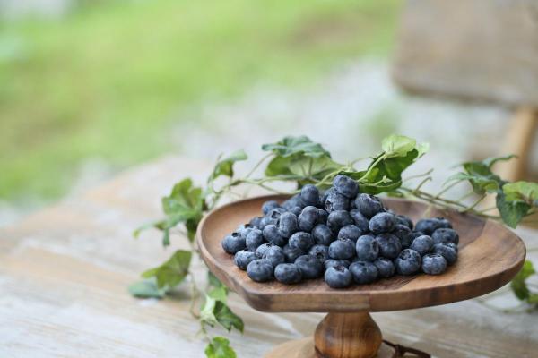 Blueberry Lane INABU