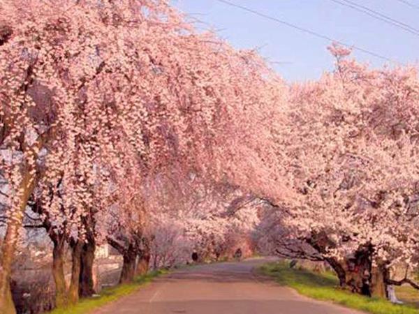 木曾川堤