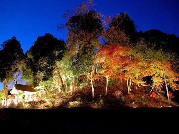 夢・彩・発見ふじおか紅葉まつり