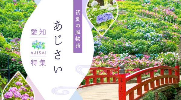 愛知のあじさい特集