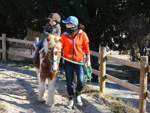 Aichi Farm