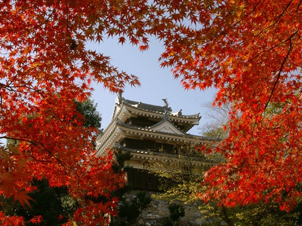 西尾市歷史公園（西尾城和舊近衛宅）