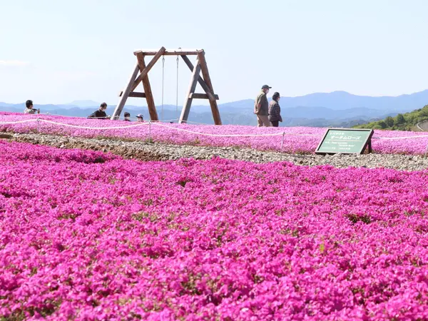 茶臼山高原