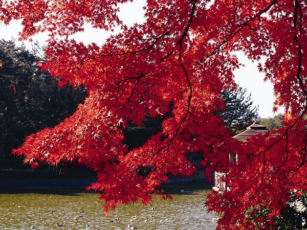 東公園