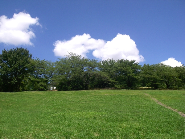 大高緑地