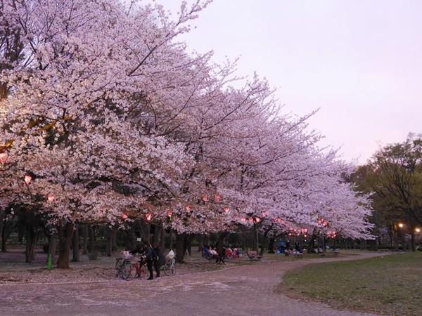 名城公园
