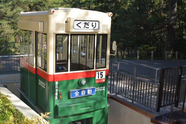 動動力森林