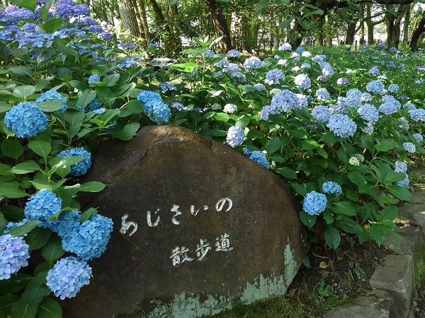鶴舞公園　噴水塔