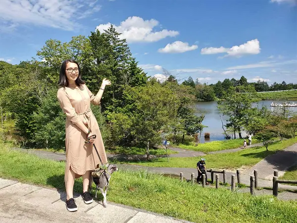 茶臼山高原