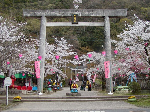 桃太郎櫻花節