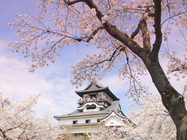 国宝 犬山城