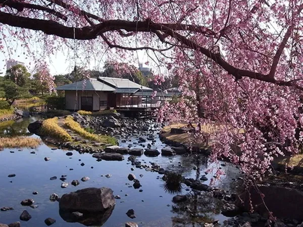白鳥庭園