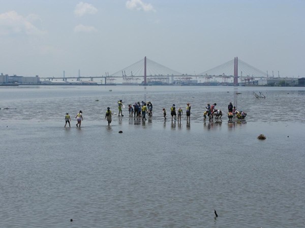 藤前海塗
