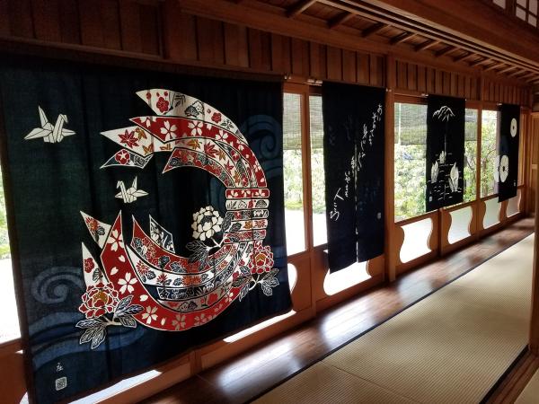 白鸟庭园　观樱会　赏花茶会