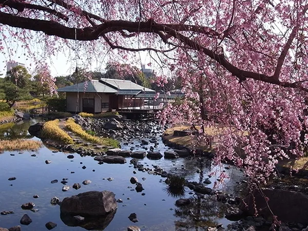 白鳥庭園