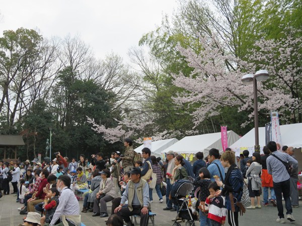 尾張旭・城山公園櫻花節
