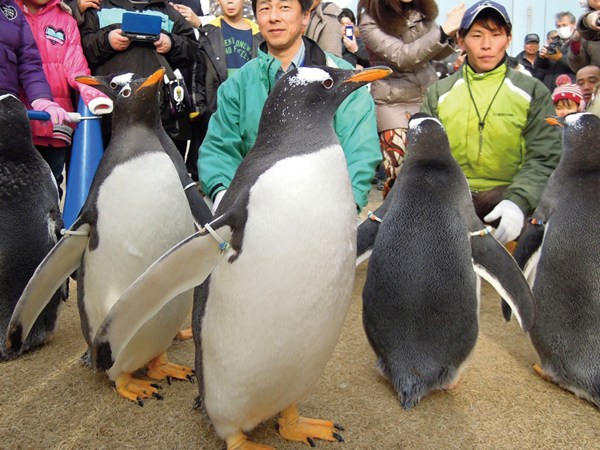 Port of Nagoya Public Aquarium