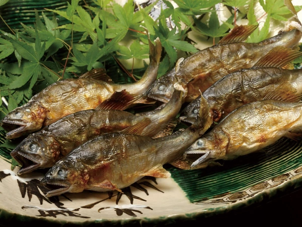 男川やな