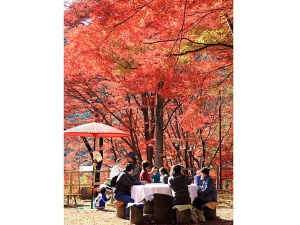 笹戶溫泉野山藥・紅葉節