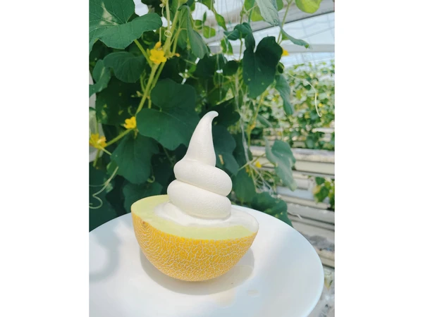 ストロベリーパークみふね